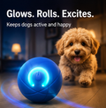 Glowing Zoomies dog ball with happy dog