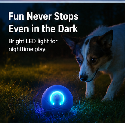 Bright LED light for nighttime play