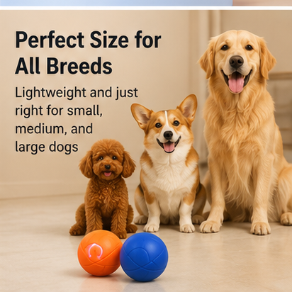 Perfect size for all dog breeds